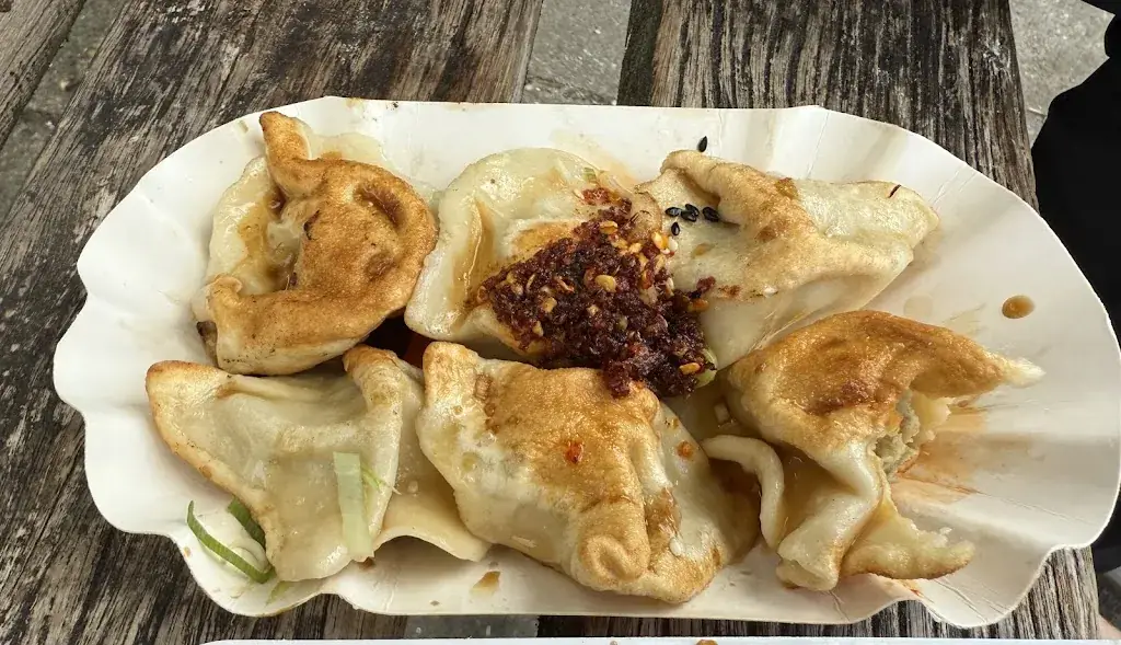 Katya Slozina_Dumplings_Amsterdam_review