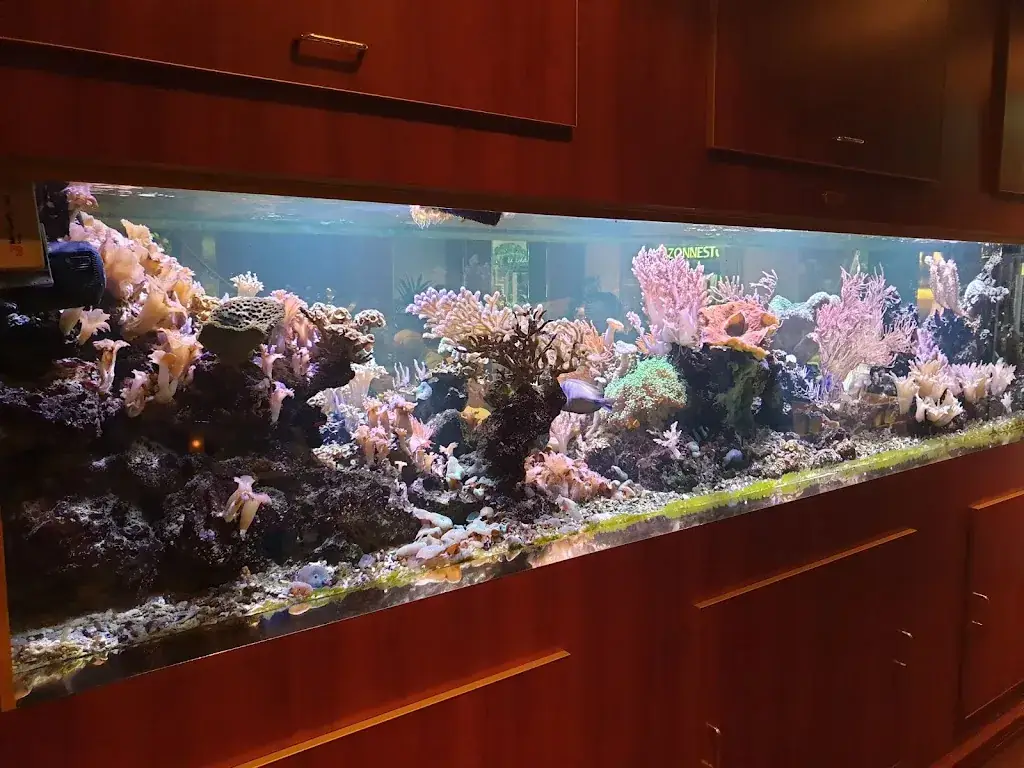 Asia restaurant in Wijchen