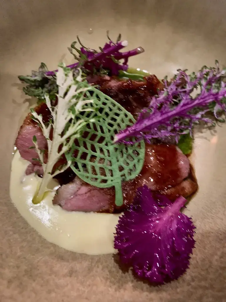 Robin Hebben_Bij Roel Linssen_Venray_review