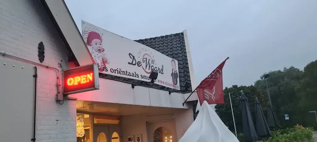 Arnita Bevers_Chinotaria De Waard_Waardenburg_review