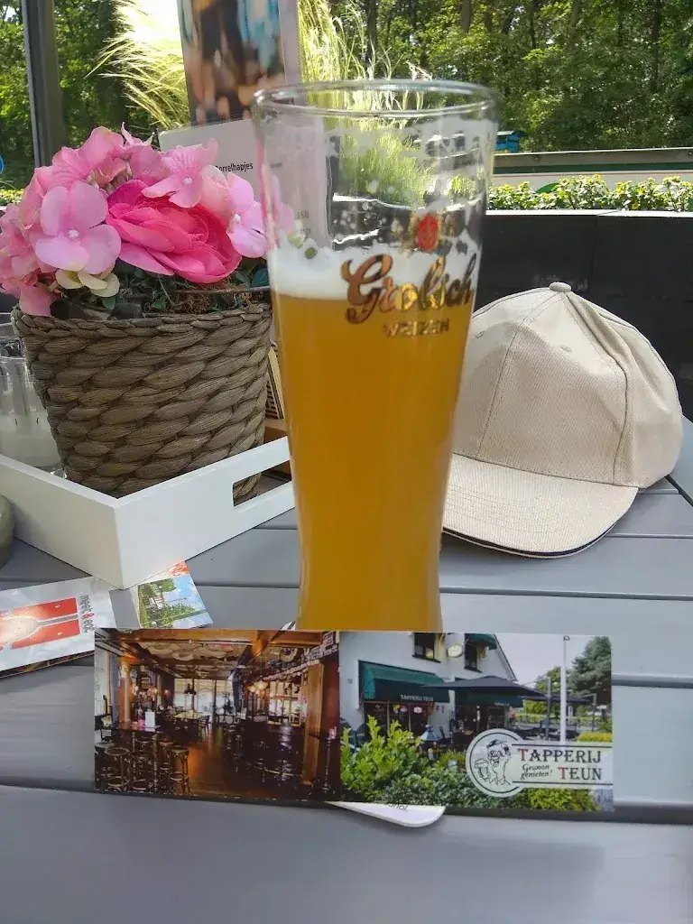 Hans Lemans_Tapperij Teun_Wapenveld_review