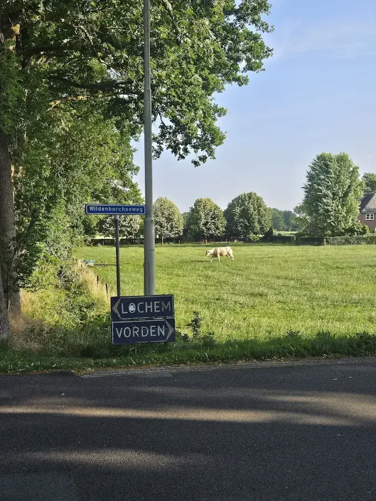 Tim Grondel_De Wildenborcherhof_Vorden_review