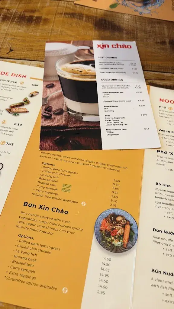 Chun Wu_Xin Chào Wageningen - Saigon Street Food_Wageningen_review