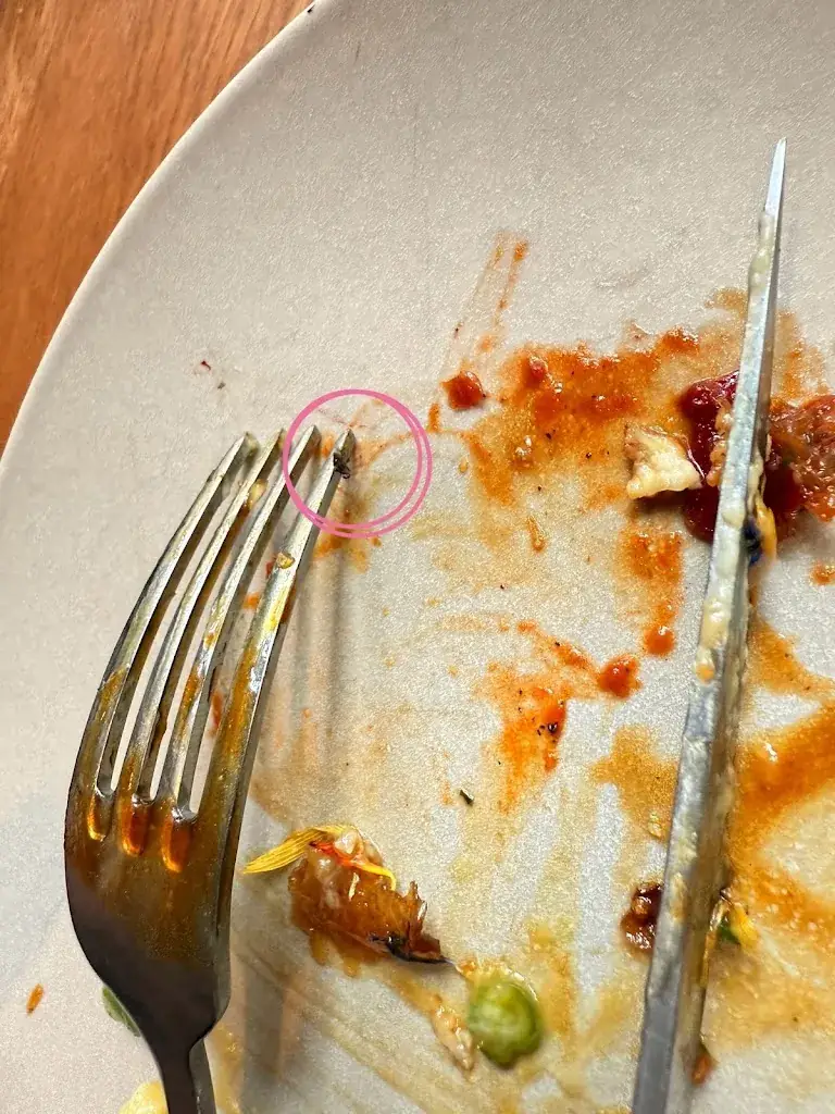 Amy H._Rijks_Amsterdam_review