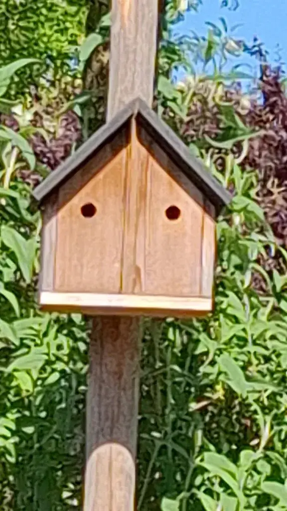 Anita Kuipers_Brasserie Brût_Zeddam_review