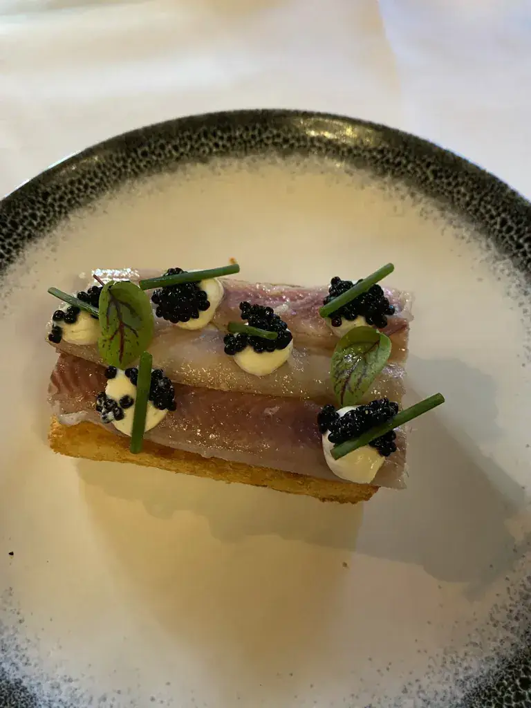 Jasper Fortuin_De Heeren van Soelen_Zoelen_review