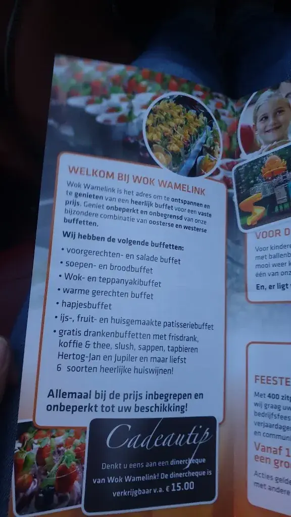 Menu_Wok Wamelink_Winterswijk_image_3