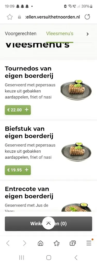 Dorina Stefanissin_Vers uit het Noorden_Aduard_review