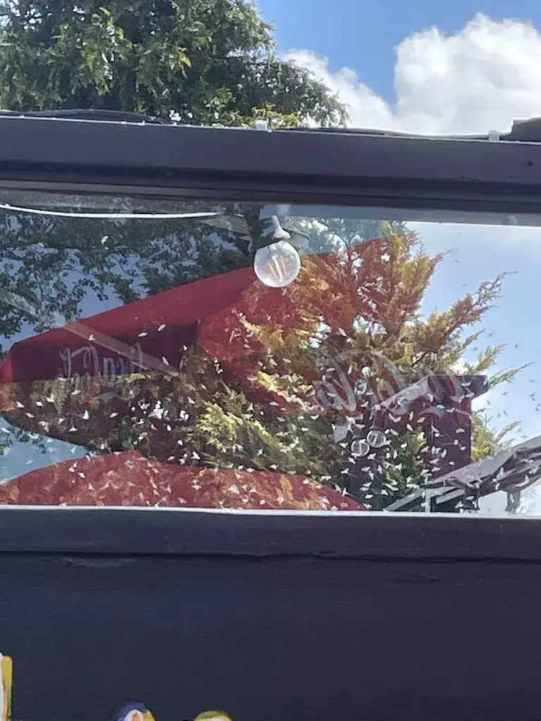 Chloe Elizabeth_Pannenkoe_Zevenhuizen_recensione