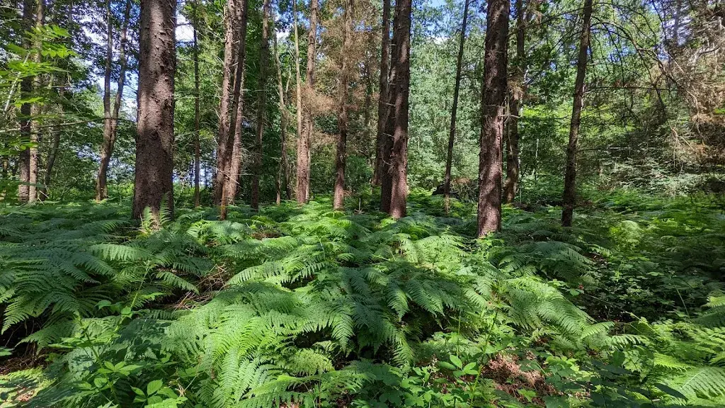 Erik Geurts_Landgoed Coendersborg_Jonkersvaart_review