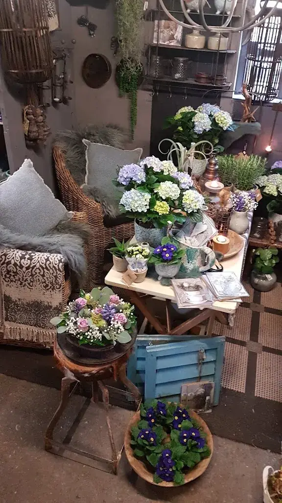 Chinees Specialiteiten Restaurant 