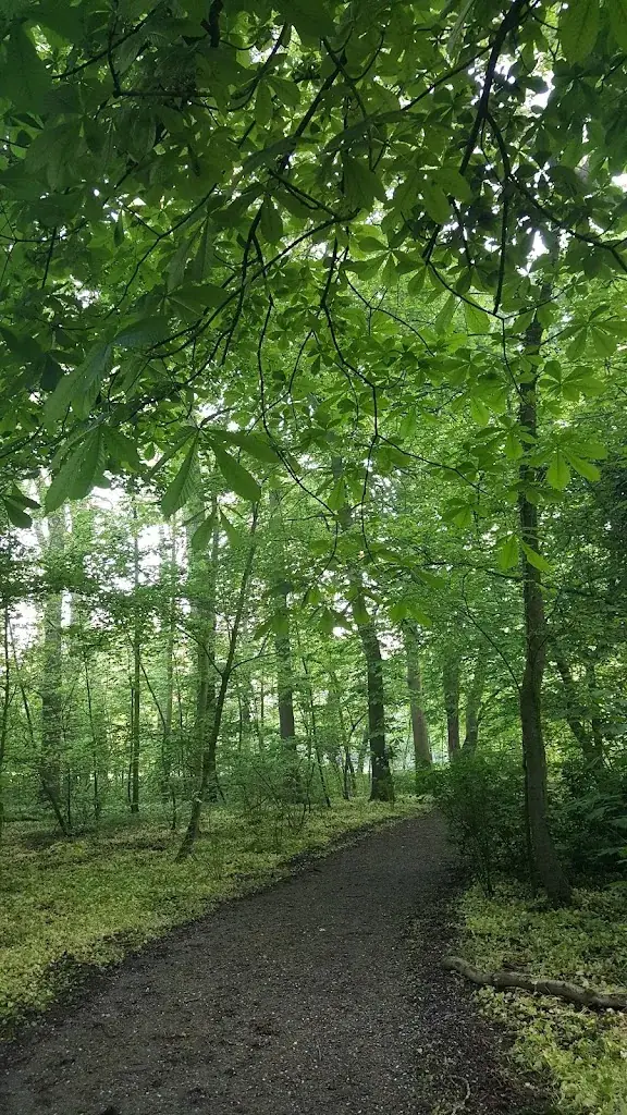 Hooded Tiesma_Estate Ekenstein_Appingedam_review