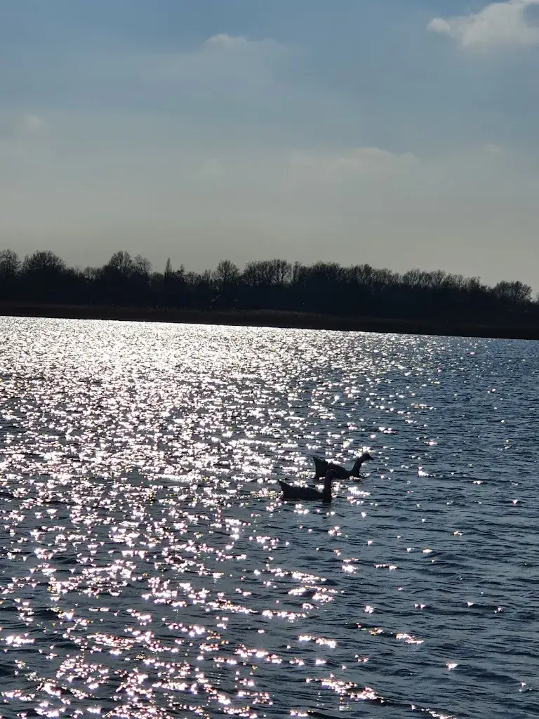 Sharon de Vaal_Restaurant Blauwestad - Parel aan het Oldambtmeer - incl. aanlegplaatsen_Blauwestad_Bewertung
