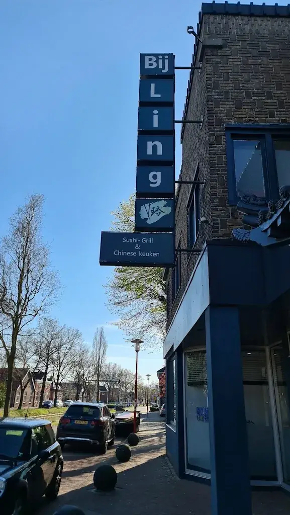 Bas Hoogstraten_Bij Ling_Pekela_review