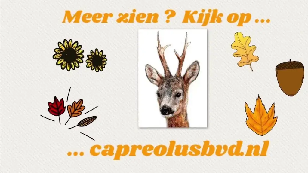 Café Het Gegeven Paard_Utrecht_slider_image_2