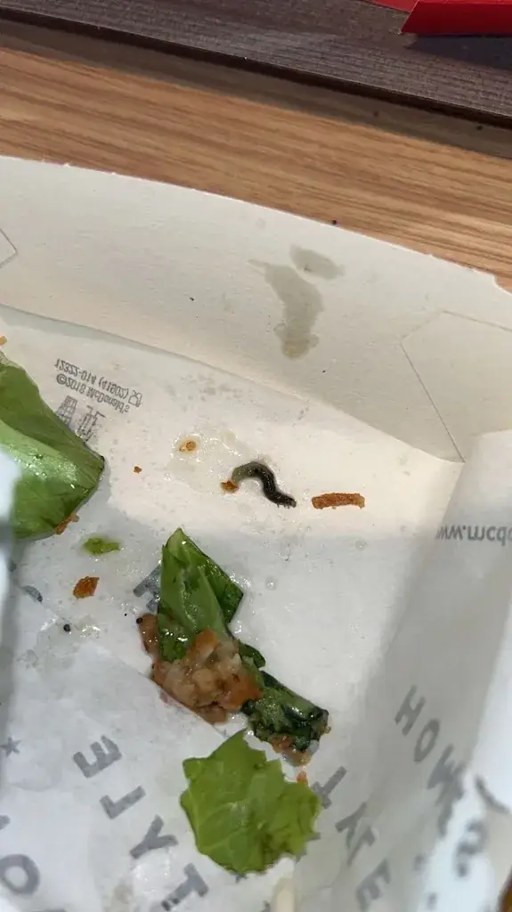 Menu_McDonald's Veendam_Veendam_image_9