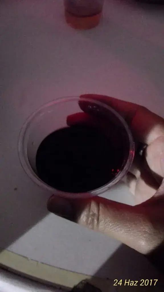 Menu_Paviljoen De Rietzoom_Kropswolde_imagen_6