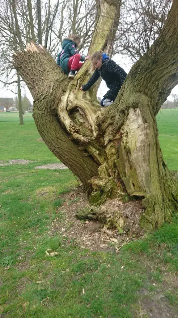 Boerderijcafé Mausel_Noordbroek_slider_image_3