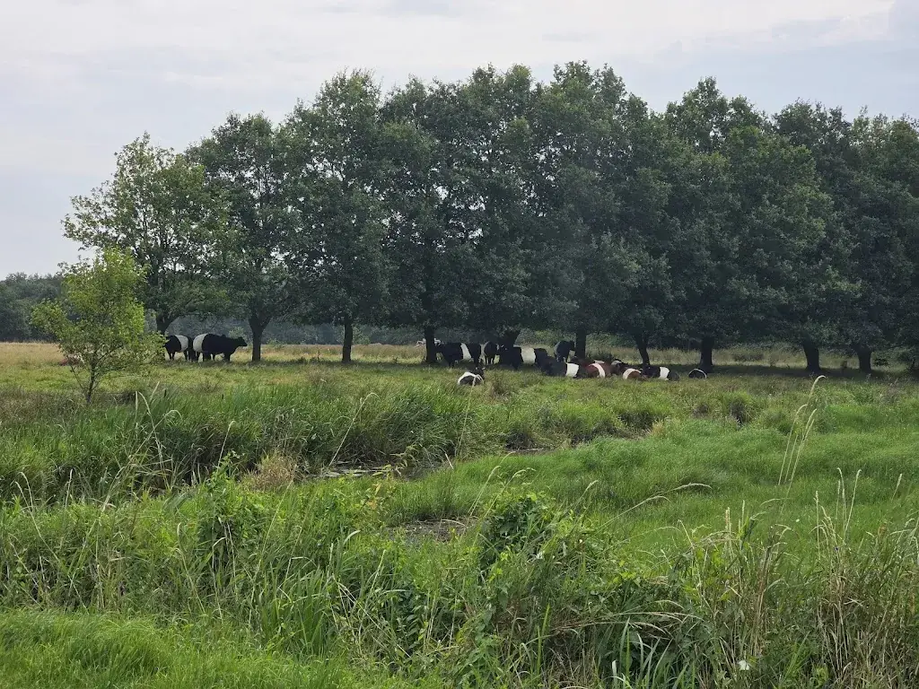 Jacco van Sliedregt_Gasterij Natuurlijk Smeerling_Onstwedde_review