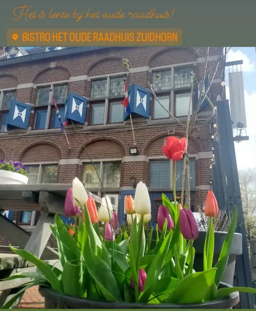 Bistro het oude raadhuis_Zuidhorn_slider_image_3