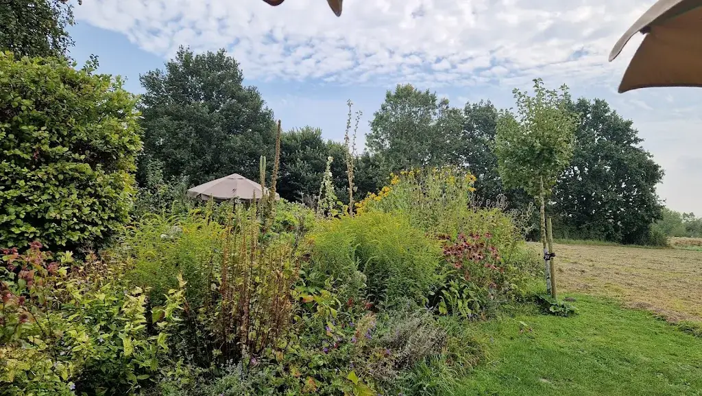 Prins Poos_Op Maarhuizen_Winsum_review