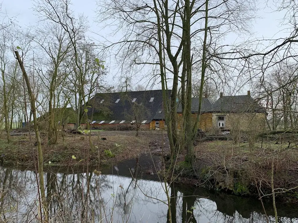 Hillien van Heuveln_Op Maarhuizen_Winsum_review