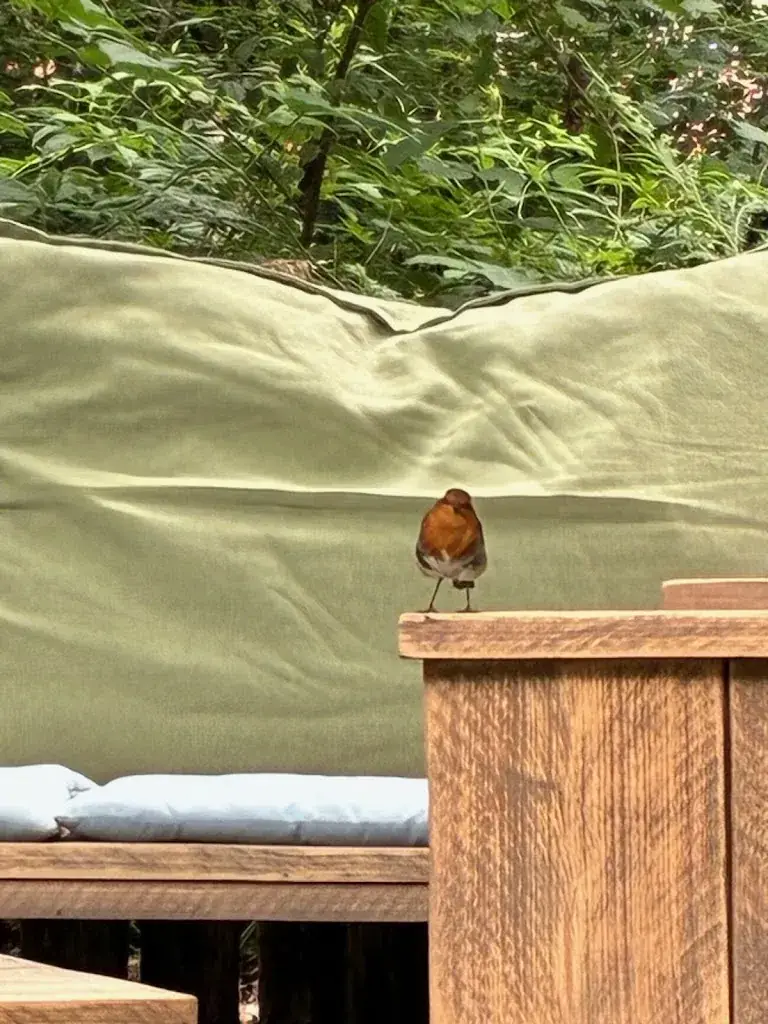 Bram Reits (Buddybram)_Kopje Genieten_Sellingen_review