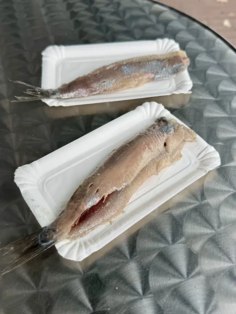 Anna G._Vistaria 't Scholletje_Apel_review