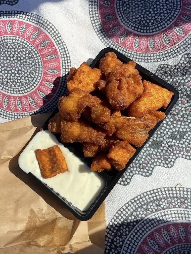 Johannes Burger_Zoutkamper Vis_Zoutkamp_review