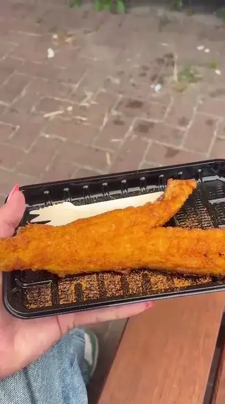 Jasper Jonker_Zoutkamper Vis_Zoutkamp_review