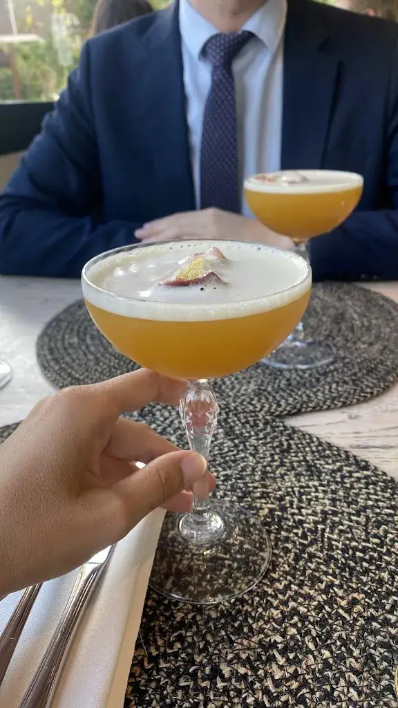 Diana Sap_De Lindeboom_Beek_review