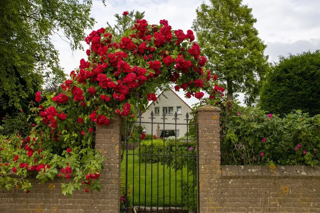 Pixelblade Photography_Cafetaria 't Centrum - Arcen_Arcen_Bewertung