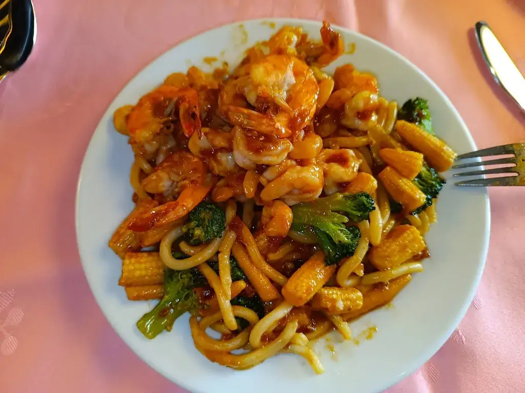 Igor van Vugt_Wok Baarlo - Peking Garden_Baarlo_review