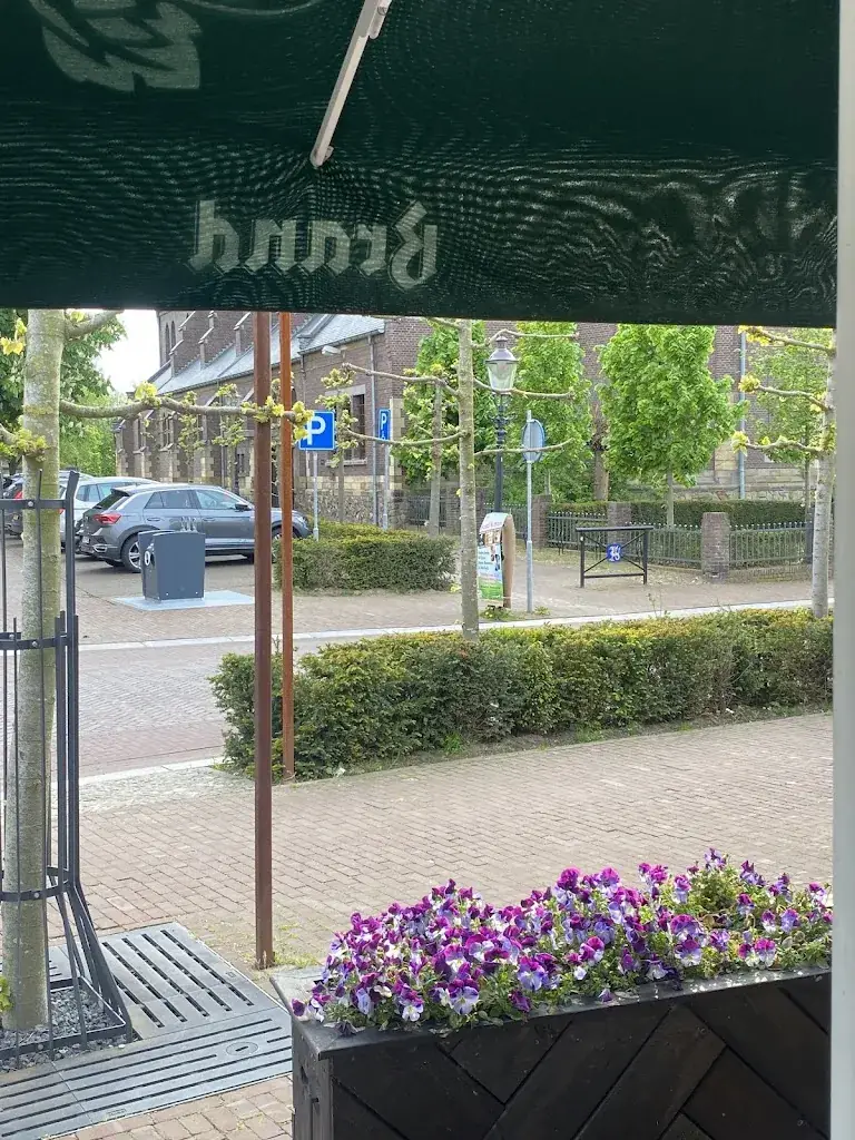 Gilad Tzori_Mert 5_Beesel_review