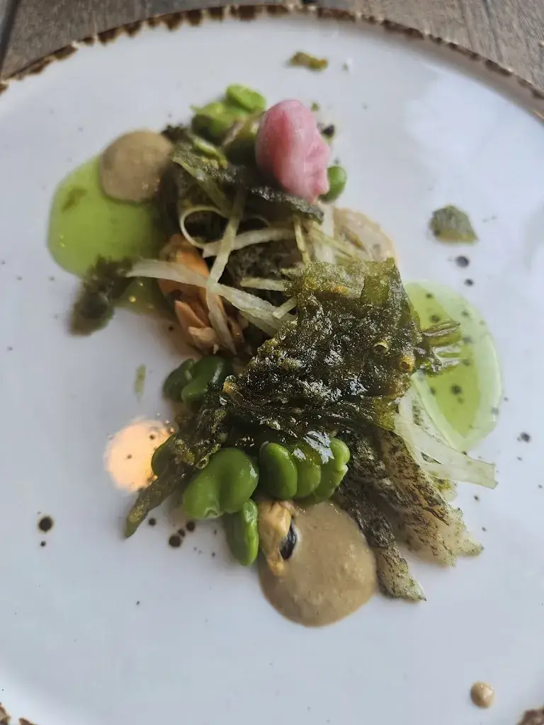 Edith Vos_Hartenlust_Havelte_review