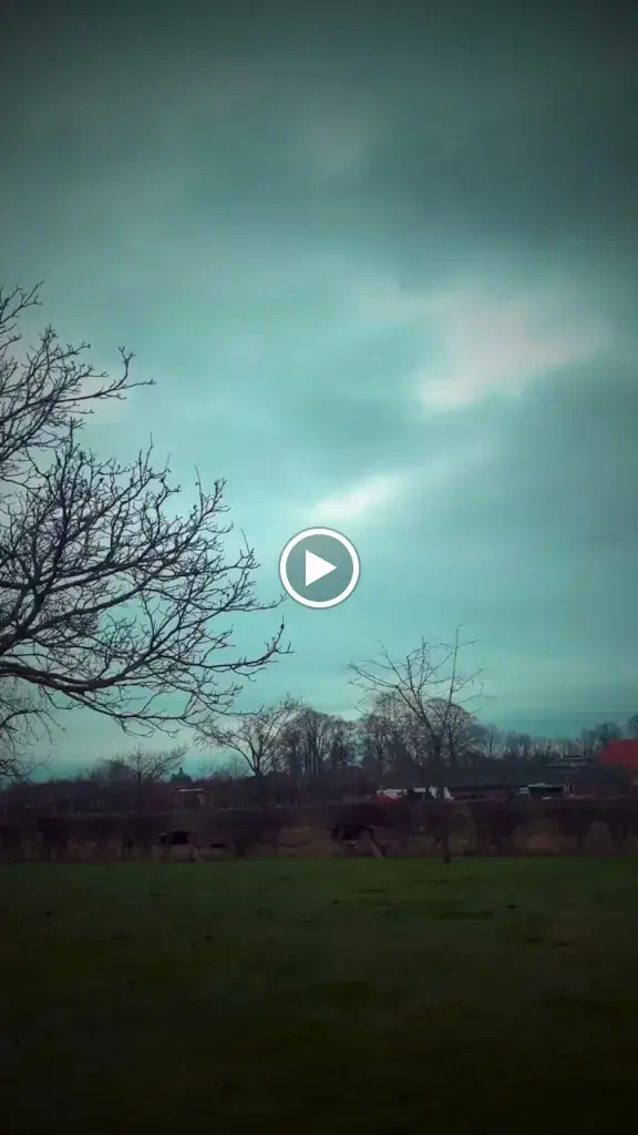 Pizza @Hoeve Cobelli_Noorbeek_slider_image_2