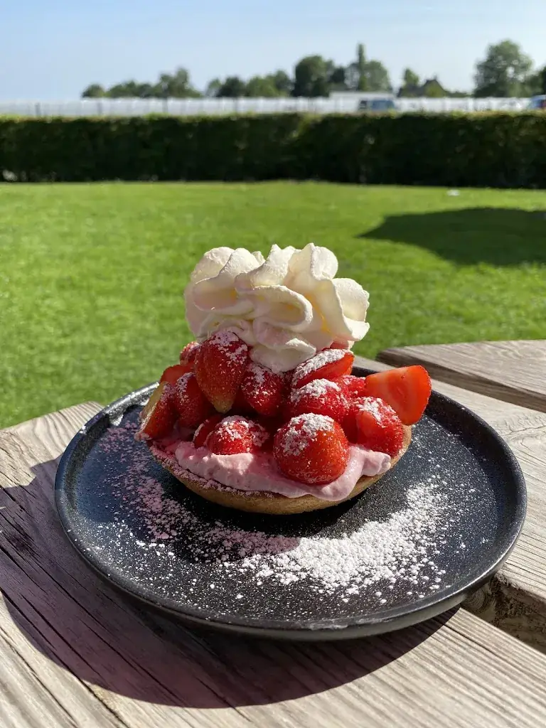 De Zeute Aardbei_Noorbeek_slider_image_3