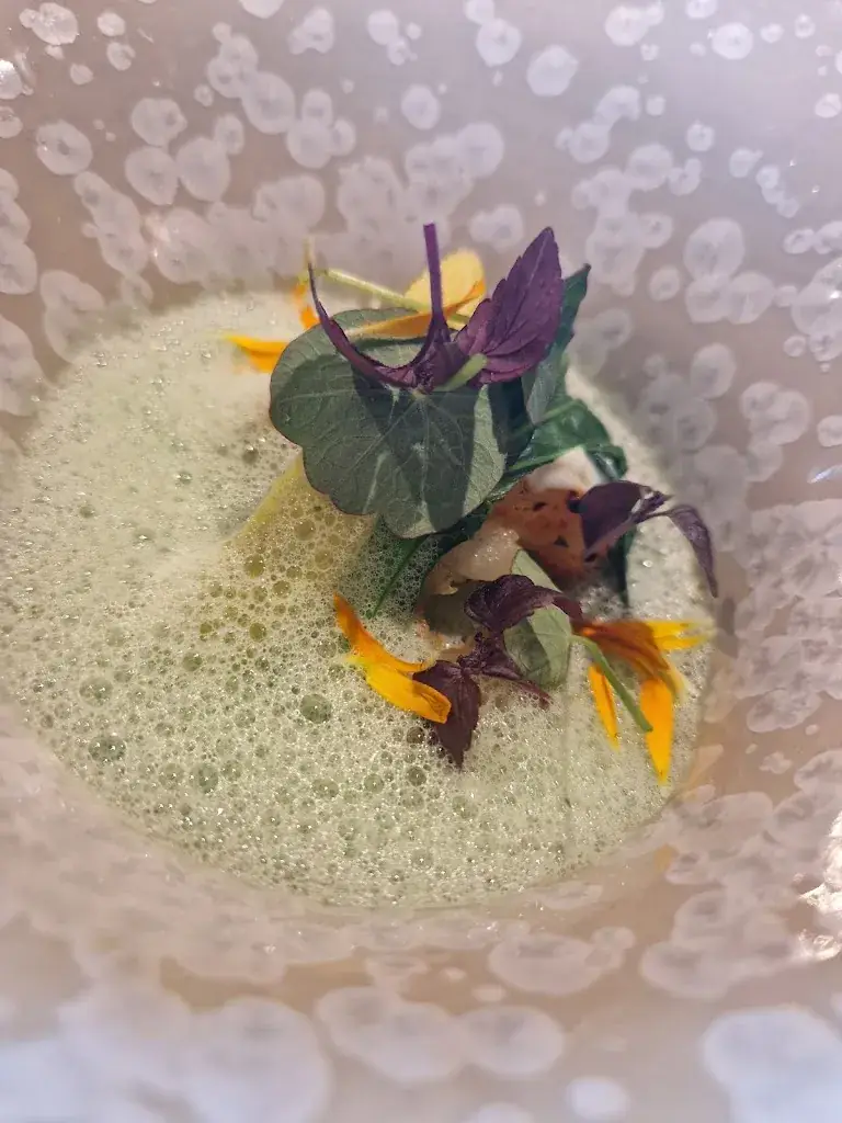 Menu_NOVO New Dining_Maastricht_imagen_6