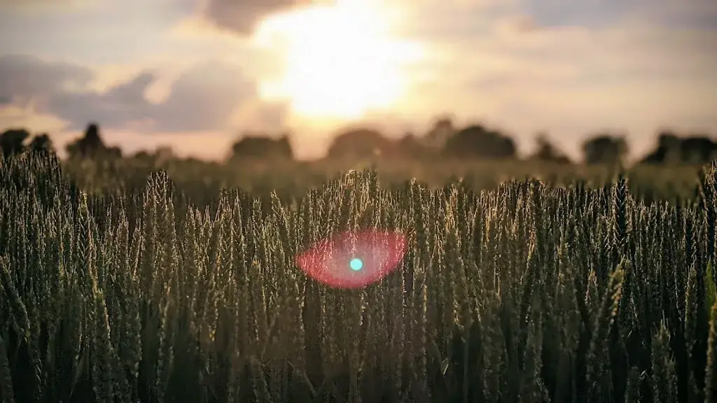 Alvaro Lau_Doenrade Castle_Doenrade_review