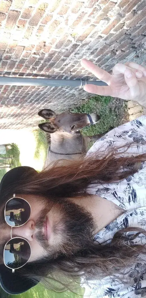 Lucas Palluel_Terborgh Castle_Schinnen_review