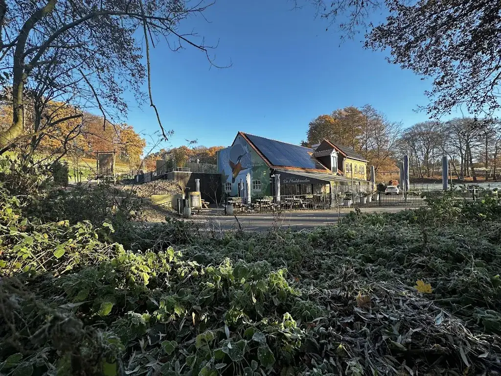 De Muldermolen_Schinnen_slider_image_3