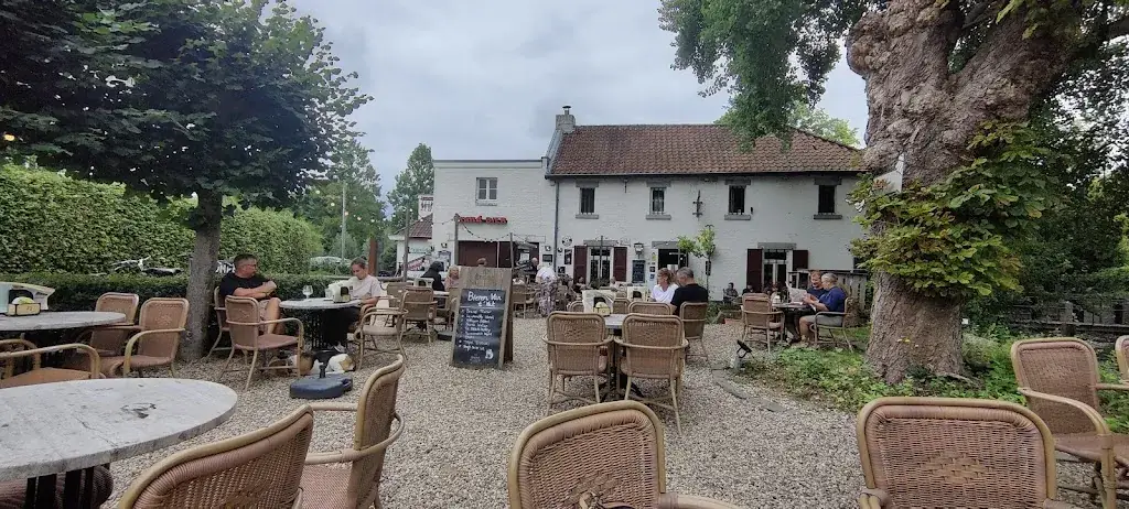 Robert Alberts_De Vief Heringe_Sittard_review