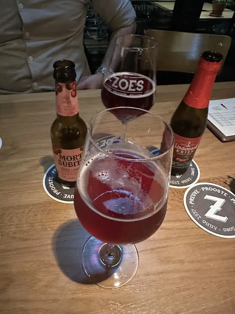 Tuğçe Akgün_De Zoes_Helden_review