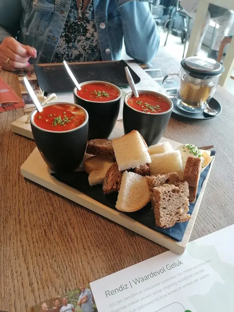 Sanne_De Ringoven_Panningen_review