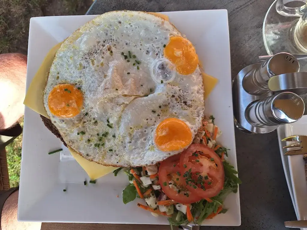 Menu_Natuurplaats Noordsche Veld_Norg_image_5