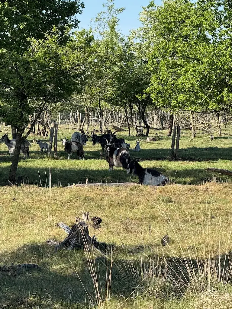 Robin Van Der Laan_Natuurplaats Noordsche Veld_Norg_review