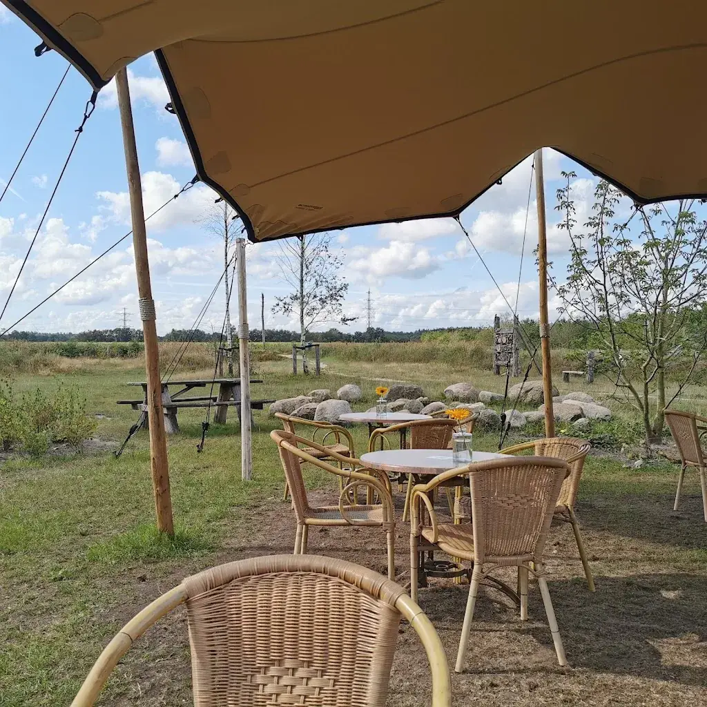 Natuurplaats Noordsche Veld_Norg_slider_image_1