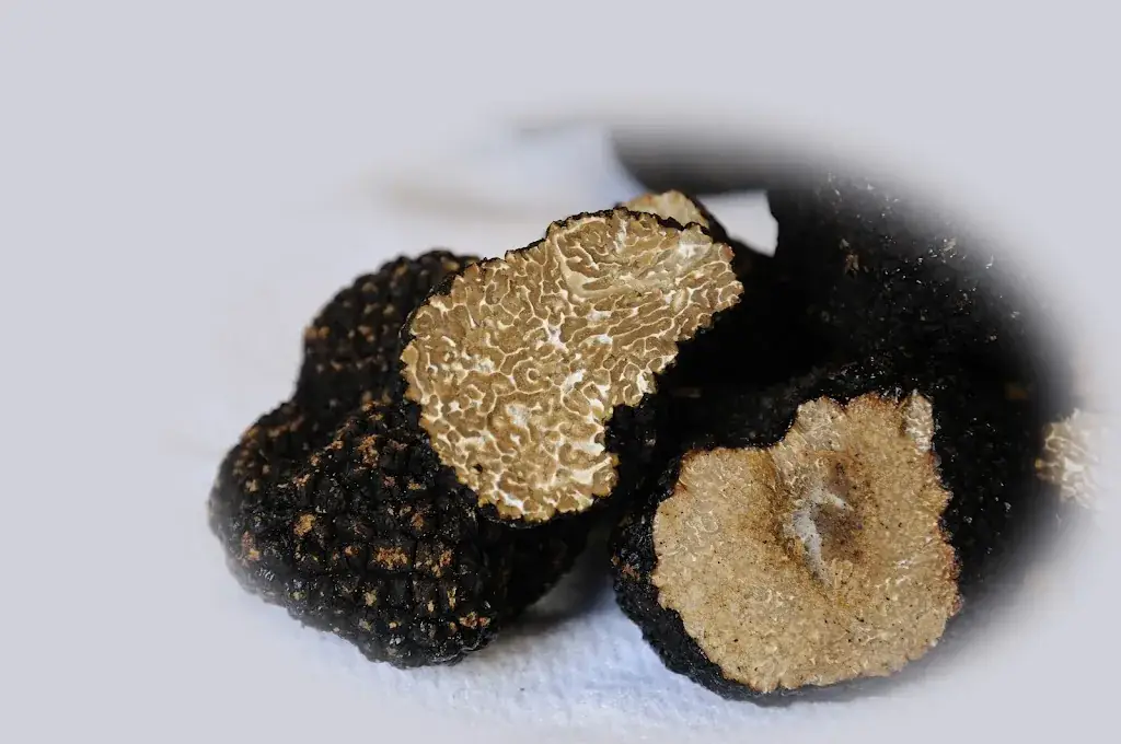 Restaurant Herberg Stadt Stevenswaert_Stevensweert_slider_image_3