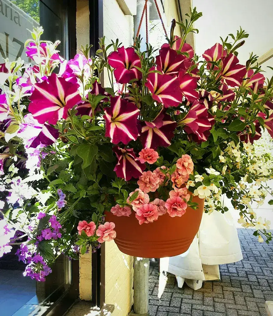 Cafe Zaal Cafetaria Leanzo_Grashoek_slider_image_3