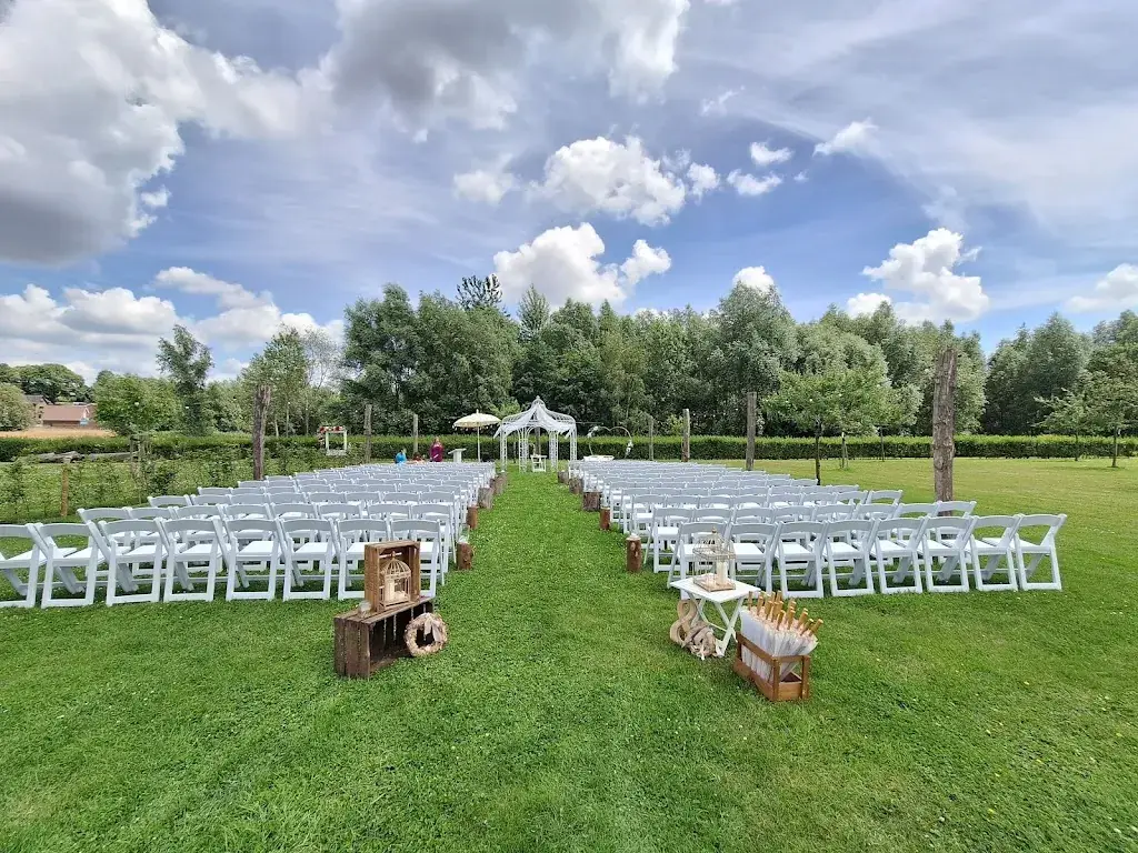 Oana Havrisciuc_Biesenhof_Geleen_review